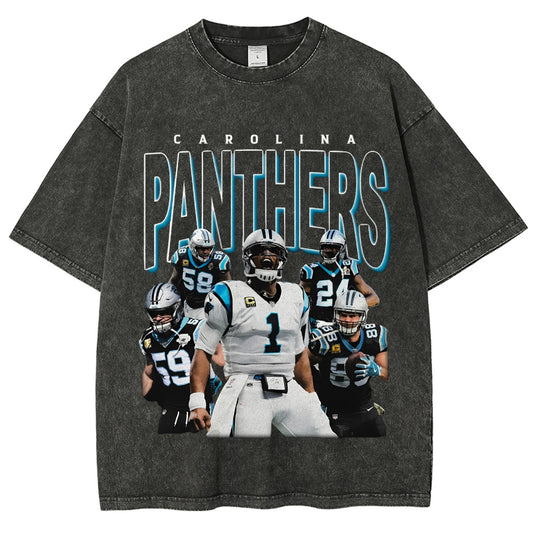 Unisex-Adult Ultra Cotton Washed T-Shirt Graphic PANTHERS TEE