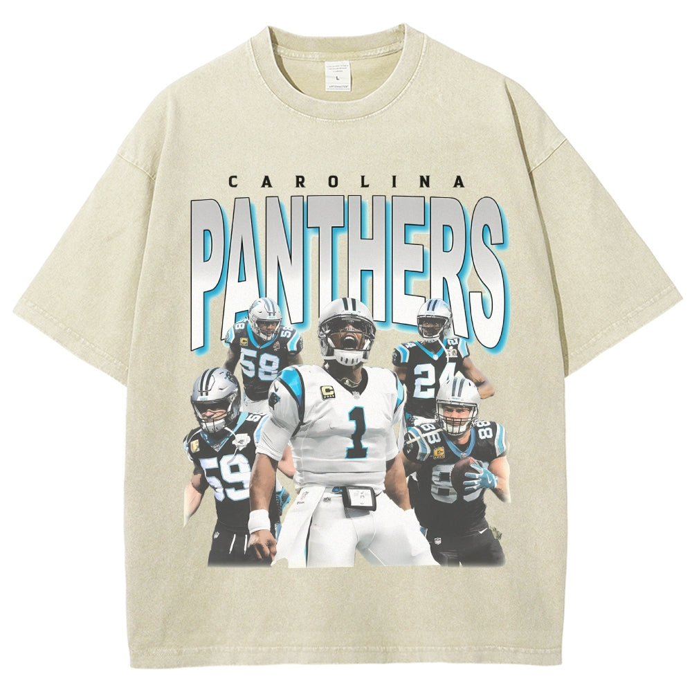 Unisex-Adult Ultra Cotton Washed T-Shirt Graphic PANTHERS TEE