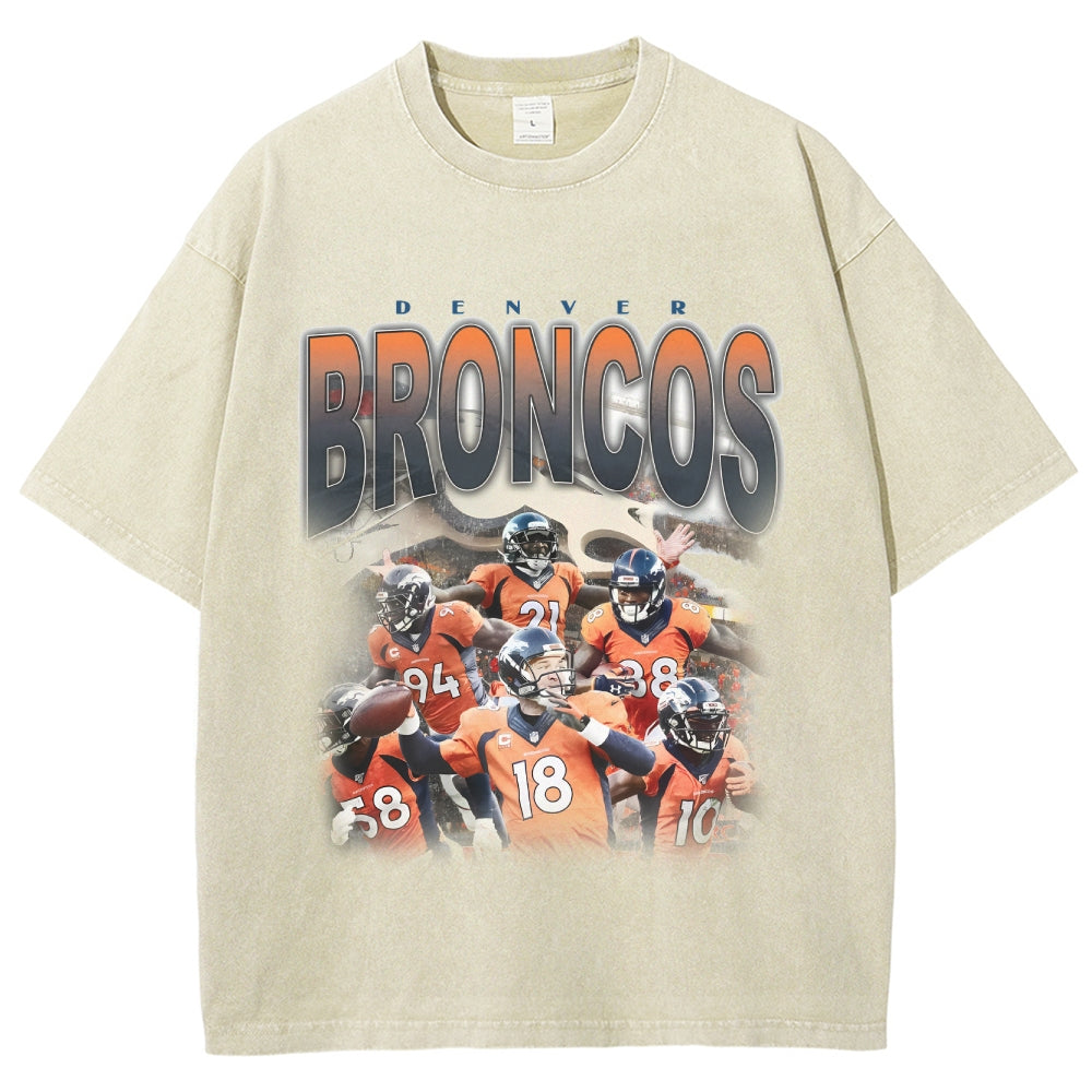 Unisex-Adult Ultra Cotton Washed T-Shirt Graphic 2015 BRONCOS TEE