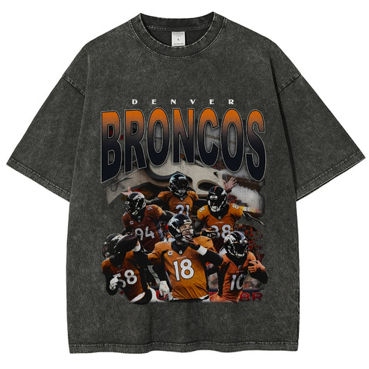 Unisex-Adult Ultra Cotton Washed T-Shirt Graphic 2015 BRONCOS TEE