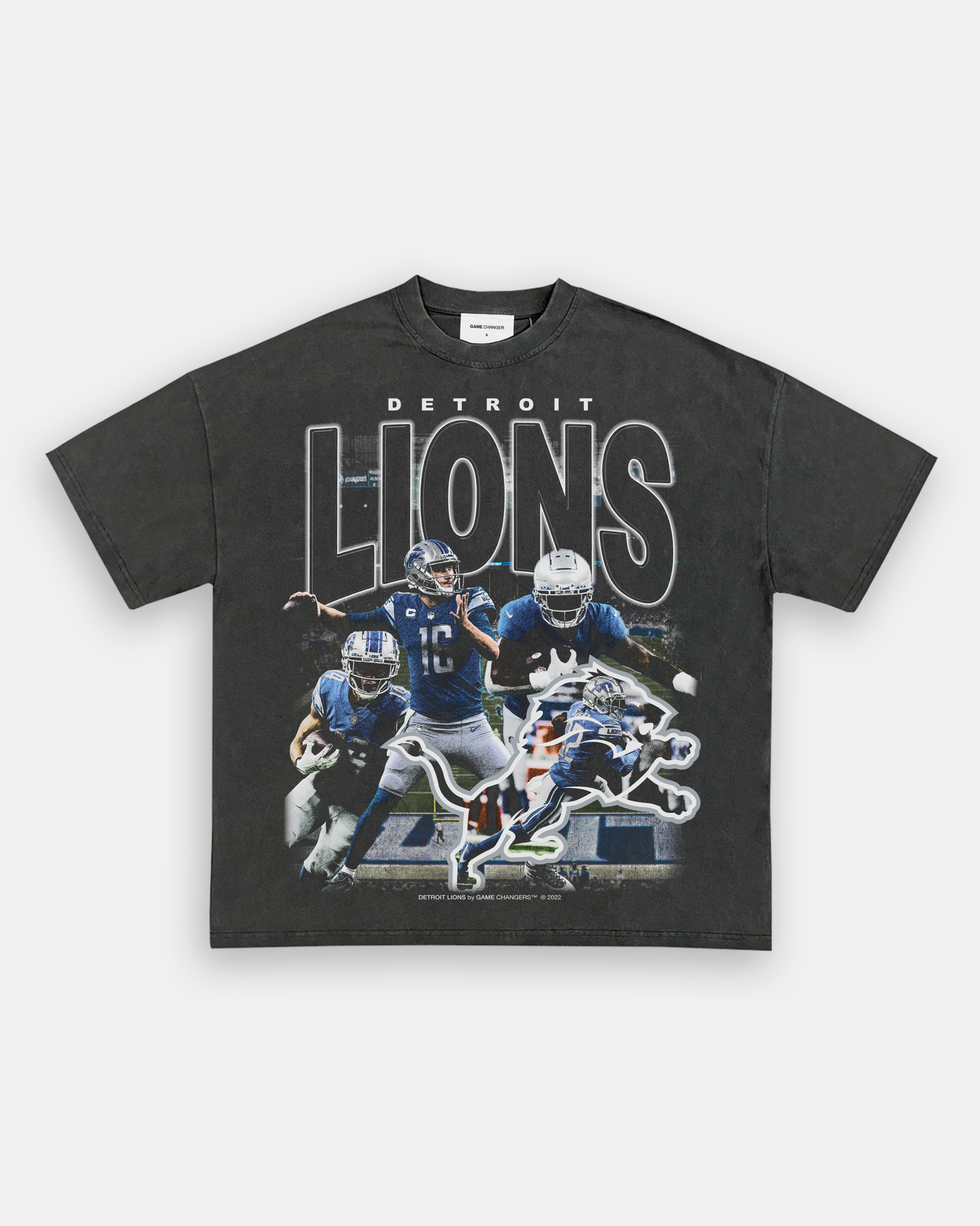 Unisex-Adult Ultra Cotton Washed T-Shirt Graphic LIONS TEE